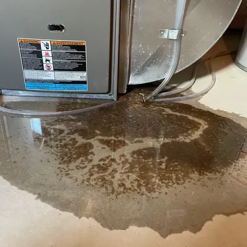 Appliance Leak Cleanup in Martin County, KY